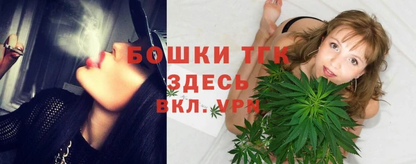 эйфоретик Арсеньев
