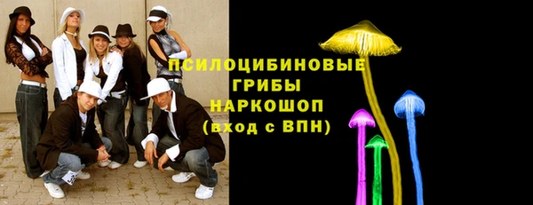 стафф Армянск