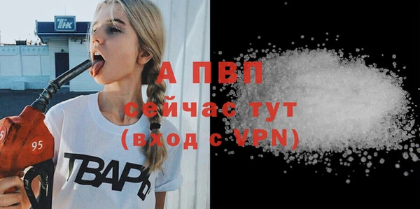 эйфоретик Арсеньев