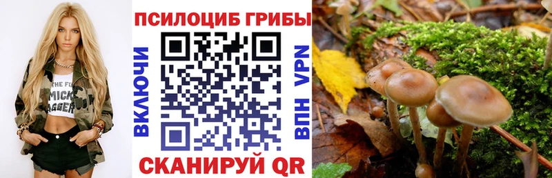 Псилоцибиновые грибы Psilocybine cubensis  цена   Боровск 